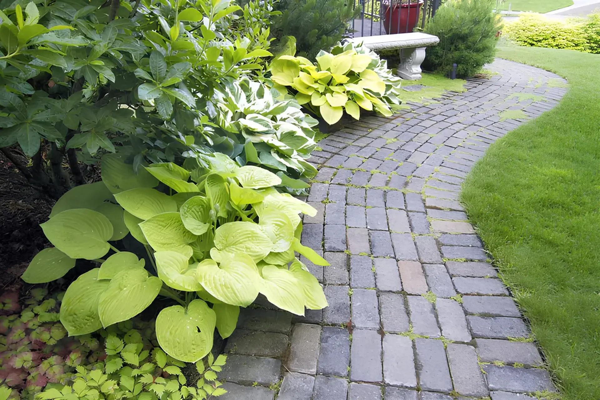 Curved Brick Walkway with Shade-Loving Border Plants